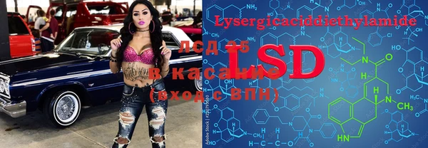 СК Кодинск