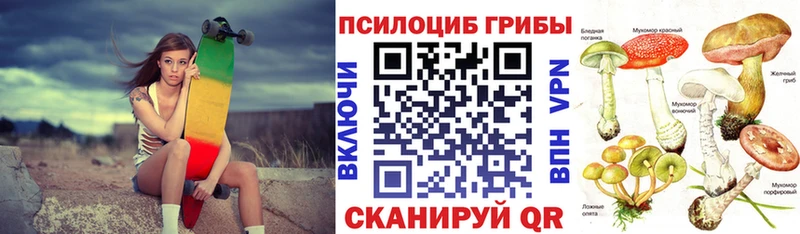 Псилоцибиновые грибы мухоморы  Купить закладки  Архангельск